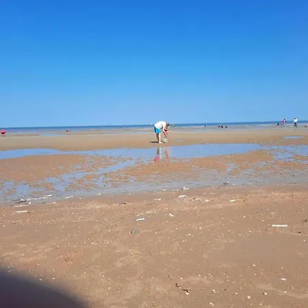 아파트 In St-idesbald With Sea View Balcony, Cleaning Included 코크시데