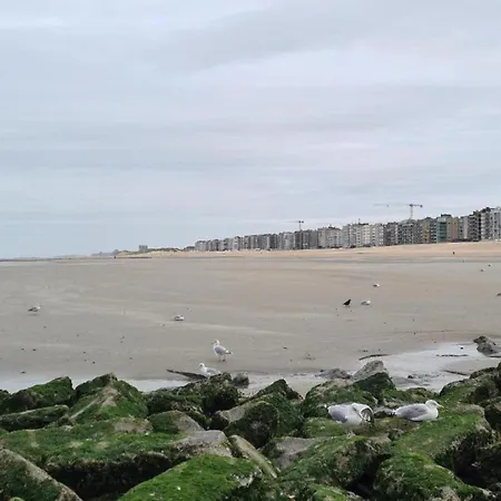 아파트 In St-idesbald With Sea View Balcony, Cleaning Included
